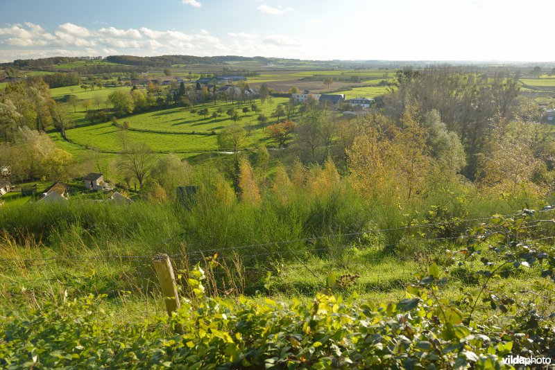Altenbroek