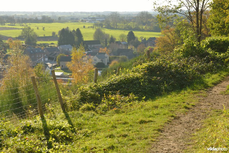 Altenbroek